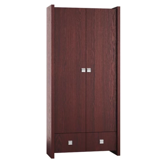Szafa do przedpokoju, szafa na ubrania Rita 2 2D2S szerokość 91 cm